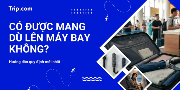 Có Được Mang Ô Lên Máy Bay Không? Quy Định Chi Tiết Mới Nhất Năm 2026 Của Các Hãng Hàng Không Việt Nam Và Quốc Tế