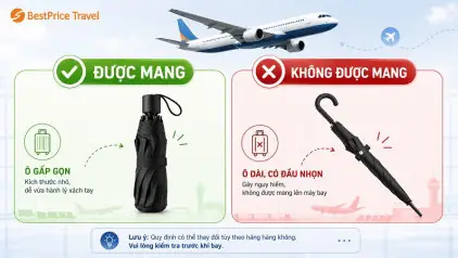 Có Được Mang Ô Lên Máy Bay Không? Quy Định Chi Tiết Mới Nhất Năm 2026 Của Các Hãng Hàng Không Việt Nam Và Quốc Tế