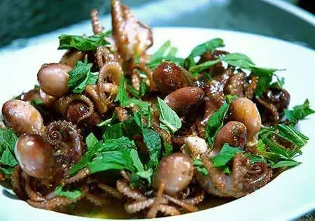 Con Ruốc Và Con Bạch Tuộc: Đối Chiếu Hai "vua" Biển, Bí Mật Sinh Học, Giá Trị Dinh Dưỡng Và Xu Hướng Ăn Uống Mới Nhất Năm 2026 Con Ruốc Và Con Bạch Tuộc: Đối Chiếu Hai "vua" Biển, Bí Mật Sinh Học, Giá Trị Dinh Dưỡng Và Xu Hướng Ăn Uống Mới Nhất Năm 2026