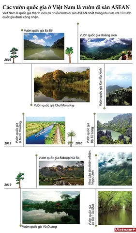 Danh Sách Công Viên Quốc Gia Ở Việt Nam 2026: Top Địa Điểm Bảo Tồn Thiên Nhiên Đẹp Nhất, Giá Vé, Kinh Nghiệm Du Lịch Chi Tiết Nhất Danh Sách Công Viên Quốc Gia Ở Việt Nam 2026: Top Địa Điểm Bảo Tồn Thiên Nhiên Đẹp Nhất, Giá Vé, Kinh Nghiệm Du Lịch Chi Tiết Nhất
