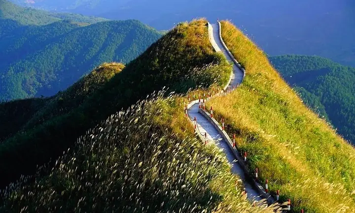 Cột Mốc 1305 Bình Liêu Quảng Ninh: Hành Trình Chạm Đỉnh Biên Giới, Khám Phá Vẻ Đẹp Hoang Sơ Và Những Trải Nghiệm Mới Nhất Năm 2026