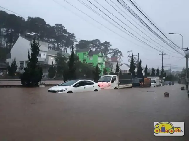 Đà Lạt Có Ảnh Hưởng Bão Không? Phân Tích Chi Tiết Khí Hậu, Dữ Liệu Thực Tế Năm 2026 Và Kinh Nghiệm Du Lịch An Toàn