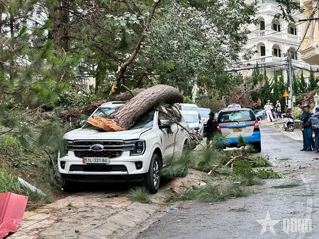 Đà Lạt Có Ảnh Hưởng Bão Không? Phân Tích Chi Tiết Khí Hậu, Dữ Liệu Thực Tế Năm 2026 Và Kinh Nghiệm Du Lịch An Toàn