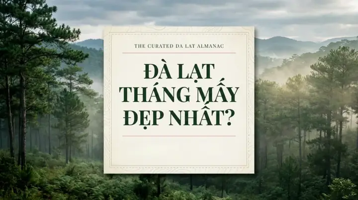 Đà Lạt Lạnh Vào Tháng Mấy Năm 2026? Chi Tiết Thời Tiết, Mùa Lạnh Đẹp Nhất Và Kinh Nghiệm Du Lịch "sống Ảo" Cực Chill
