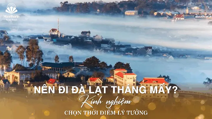 Đà Lạt Lạnh Vào Tháng Mấy Năm 2026? Chi Tiết Thời Tiết, Mùa Lạnh Đẹp Nhất Và Kinh Nghiệm Du Lịch "sống Ảo" Cực Chill