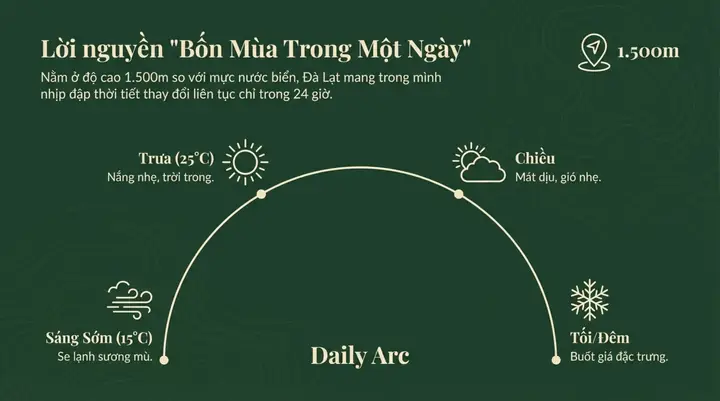 Đà Lạt Lạnh Vào Tháng Mấy Năm 2026? Chi Tiết Thời Tiết, Mùa Lạnh Đẹp Nhất Và Kinh Nghiệm Du Lịch "sống Ảo" Cực Chill