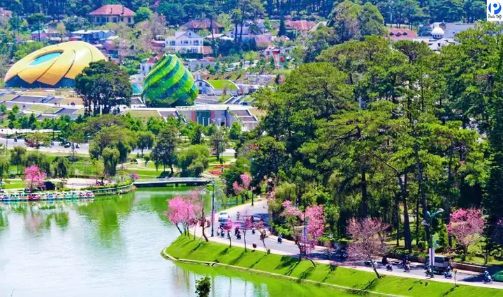 Đà Lạt Thành Phố Sương Mù 2026: Hành Trình Khám Phá Vẻ Đẹp "chốn Ngàn Hoa" Dưới Lớp Sương Ma Mị Đà Lạt Thành Phố Sương Mù 2026: Hành Trình Khám Phá Vẻ Đẹp "chốn Ngàn Hoa" Dưới Lớp Sương Ma Mị