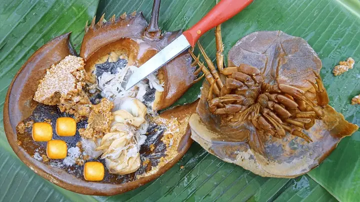 Top 15+ Đặc Sản Móng Cái Quảng Ninh Năm 2026: Mua Gì, Ăn Gì, Quà Tặng Nào "chuẩn Vị" Nhất?