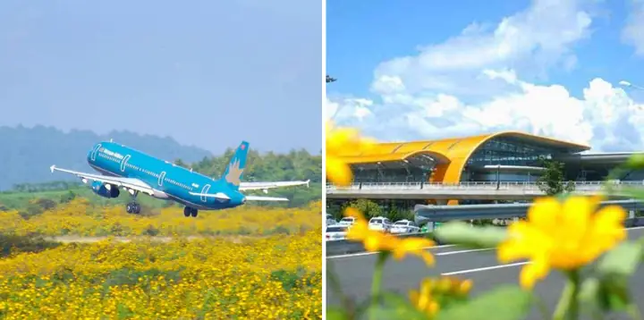 Hướng Dẫn Đi Đà Lạt Bằng Máy Bay Năm 2026: Vé Rẻ, Sân Bay, Di Chuyển & Mẹo Tiết Kiệm Toàn Diện