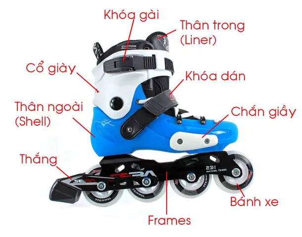 Top 10+ Địa Chỉ Cho Thuê Giày Trượt Patin TPHCM Uy Tín, Giá Tốt Nhất Năm 2026