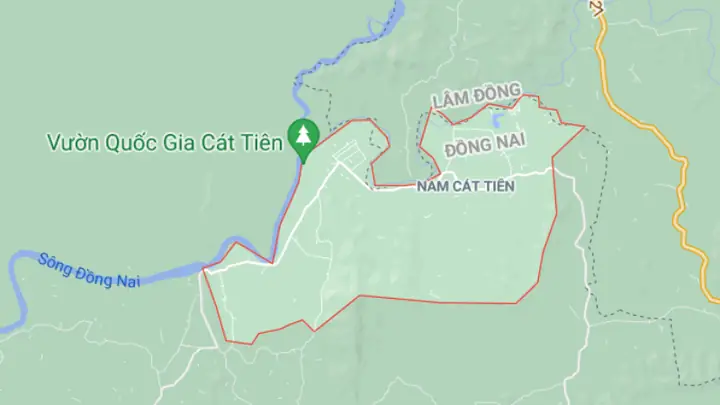 Diện Tích Vườn Quốc Gia Cát Tiên Chi Tiết Nhất 2026: Phân Vùng, Địa Lý Và Giá Trị Sinh Thái