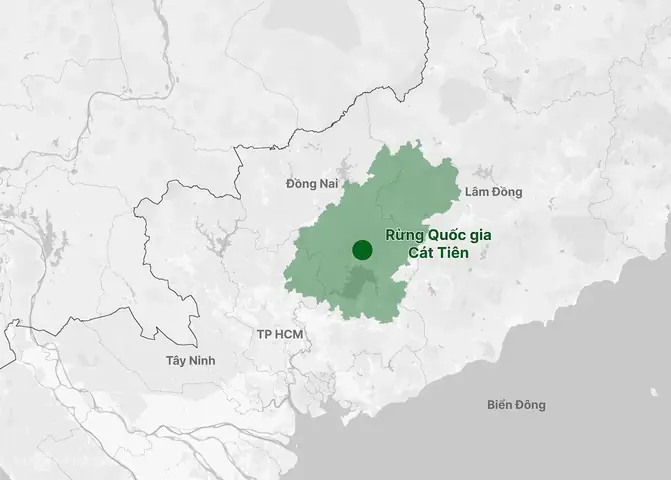 Diện Tích Vườn Quốc Gia Cát Tiên Chi Tiết Nhất 2026: Phân Vùng, Địa Lý Và Giá Trị Sinh Thái