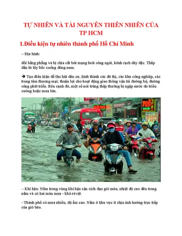 Điều Kiện Tự Nhiên Của Thành Phố Hồ Chí Minh: Phân Tích Toàn Diện Cập Nhật Năm 2026