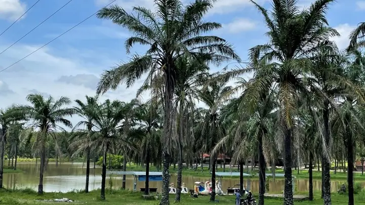Khám Phá Đông Hà Quảng Trị 2026: Hành Trình Giữa Lịch Sử Hào Hùng Và Thiên Nhiên Tuyệt Đẹp