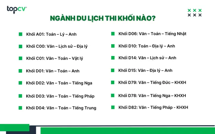 Du Lịch Gồm Những Ngành Nào? Phân Tích Sâu Toàn Diện Cấu Trúc Ngành Du Lịch Việt Nam Năm 2026