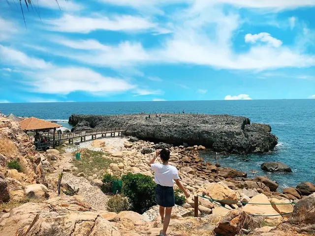 Khám Phá Hang Rái Ninh Thuận 2026: Bí Mật "chùa Đá" Biển Đảo Hùng Vĩ Nhất Việt Nam