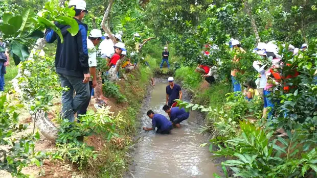 Du Lịch Miệt Vườn Cần Thơ 2026: Trải Nghiệm "chạm Tay" Vùng Quê Miền Tây Nguyên Bản Nhất Du Lịch Miệt Vườn Cần Thơ 2026: Trải Nghiệm "chạm Tay" Vùng Quê Miền Tây Nguyên Bản Nhất
