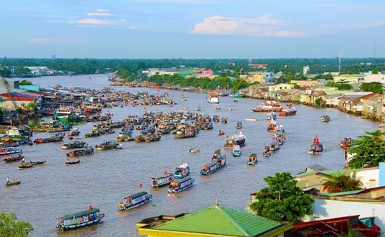 Du Lịch Miệt Vườn Cần Thơ 2026: Trải Nghiệm "chạm Tay" Vùng Quê Miền Tây Nguyên Bản Nhất Du Lịch Miệt Vườn Cần Thơ 2026: Trải Nghiệm "chạm Tay" Vùng Quê Miền Tây Nguyên Bản Nhất