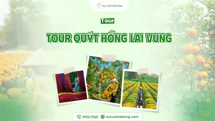 Hành Trình Khám Phá Sa Đéc 1 Ngày 2026: Lộ Trình Chi Tiết, Điểm Check-in "sống Ảo" & Bí Quyết Ăn Ngon Không Lo Hụt Hẫng