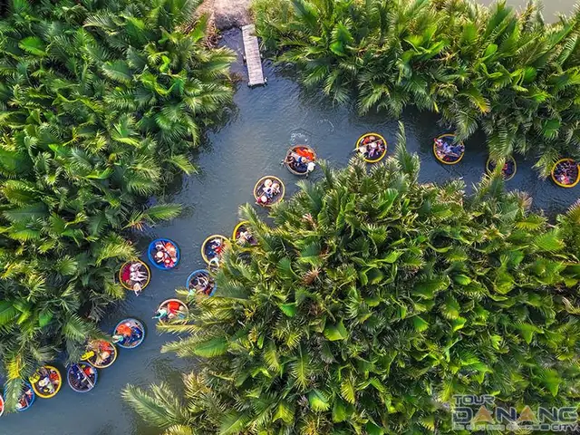 Du Lịch Sinh Thái Hội An 2026: Hành Trình Khám Phá "venice Phương Đông" Xanh - Biển - Rừng - Văn Hóa Bản Sắc