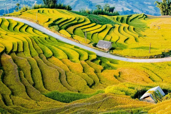 Du Lịch Trung Du Miền Núi Bắc Bộ 2026: Hành Trình Chinh Phục Đỉnh Cao, Khám Phá Văn Hóa Và Xu Hướng Mới Nhất
