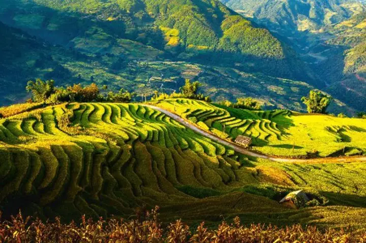 Du Lịch Trung Du Miền Núi Bắc Bộ 2026: Hành Trình Chinh Phục Đỉnh Cao, Khám Phá Văn Hóa Và Xu Hướng Mới Nhất