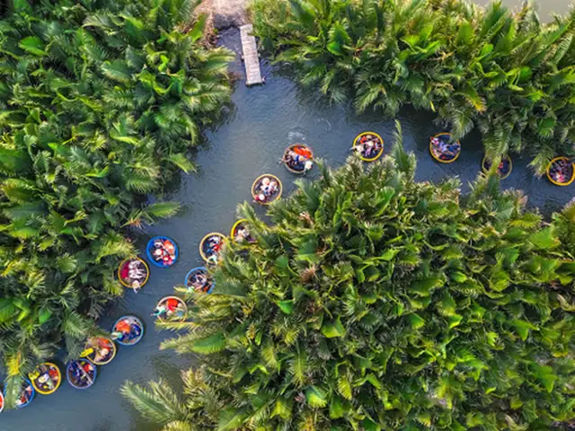 Khám Phá Đường Đi Rừng Dừa Bảy Mẫu 2026: Hành Trình "thiền" Giữa Trái Tim Bến Tre, Chi Tiết Từ A-Z Cho Người Mới Bắt Đầu
