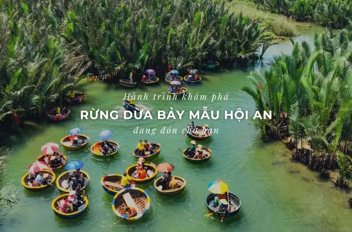 Khám Phá Đường Đi Rừng Dừa Bảy Mẫu 2026: Hành Trình "thiền" Giữa Trái Tim Bến Tre, Chi Tiết Từ A-Z Cho Người Mới Bắt Đầu