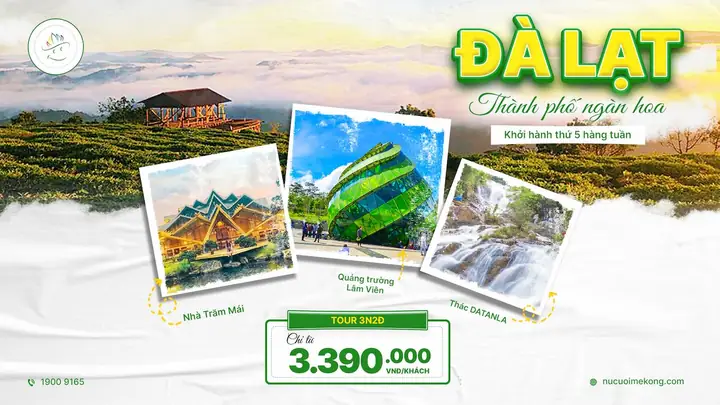 Bảng Giá Tour Đà Lạt 3 Ngày 2 Đêm 2026 Chi Tiết Nhất: Review Trải Nghiệm, Lịch Trình & Bí Quyết Chọn Tour "chuẩn Chất" Không Lo Bị "chặt Chém" Bảng Giá Tour Đà Lạt 3 Ngày 2 Đêm 2026 Chi Tiết Nhất: Review Trải Nghiệm, Lịch Trình & Bí Quyết Chọn Tour "chuẩn Chất" Không Lo Bị "chặt Chém"
