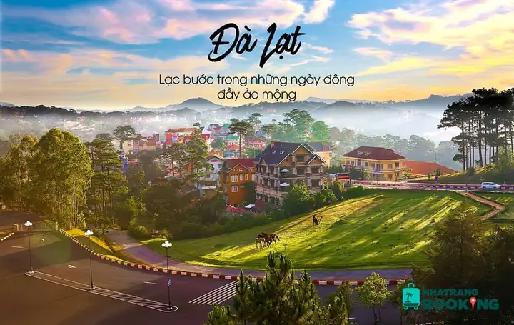 Đà Lạt 2026: Hành Trình Khám Phá "thành Phố Ngàn Hoa" – Từ Di Sản Lịch Sử Đến Xu Hướng Du Lịch Mới Nhất