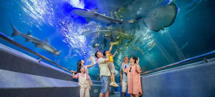 Viện Hải Dương Học Nha Trang: Bảo Tàng Biển Đỉnh Cao Và Địa Điểm Du Lịch "check-in" Không Thể Bỏ Qua Năm 2026