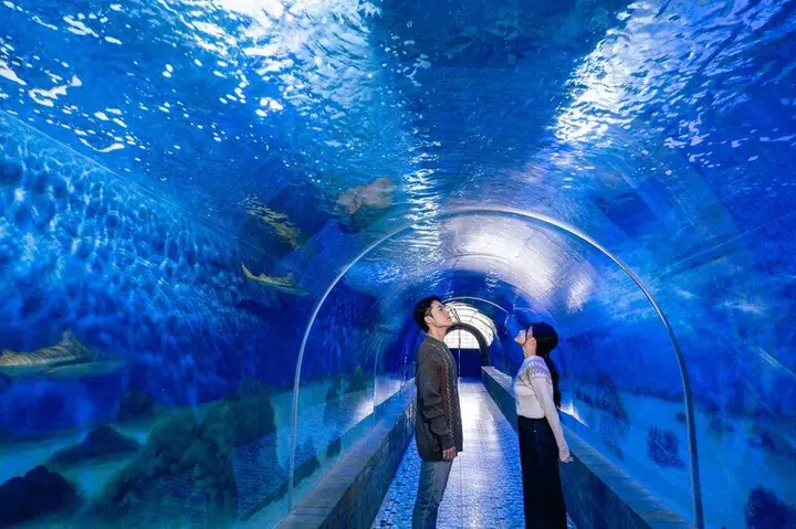 Viện Hải Dương Học Nha Trang: Bảo Tàng Biển Đỉnh Cao Và Địa Điểm Du Lịch "check-in" Không Thể Bỏ Qua Năm 2026