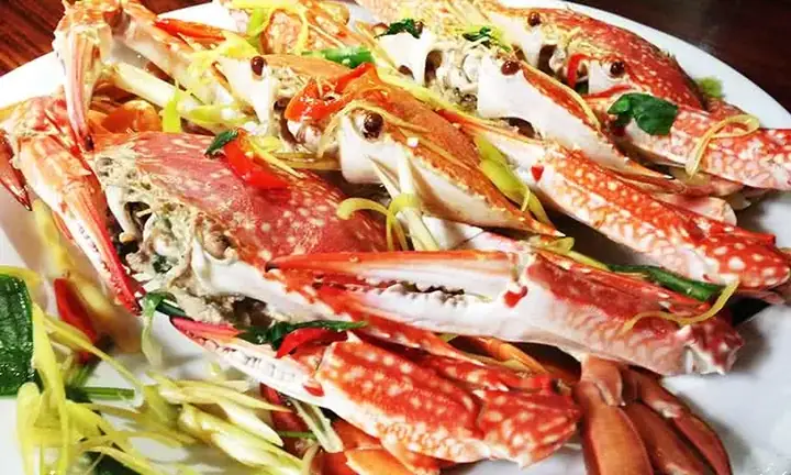 Hải Sản Biển Đông Times City 2026: Review Chi Tiết Menu, Giá Cả, Không Gian & Trải Nghiệm Thực Tế – Địa Điểm "chuẩn Vị" Cho Gia Đình Và Đoàn Thể