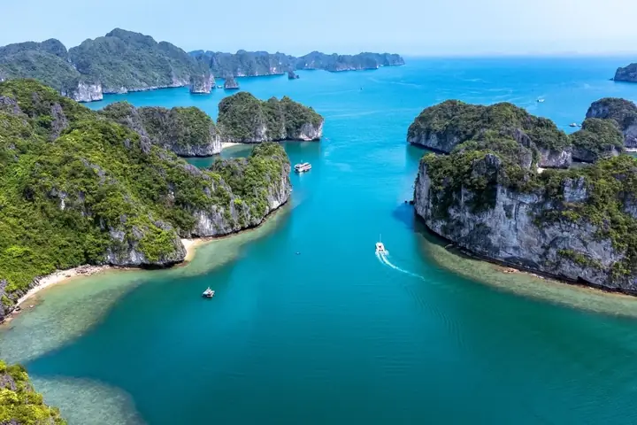 Hướng Dẫn Di Chuyển Từ Hạ Long City Ra Cát Bà Chi Tiết Nhất 2026: Lộ Trình, Giá Vé, Lịch Trình & Mẹo Tiết Kiệm