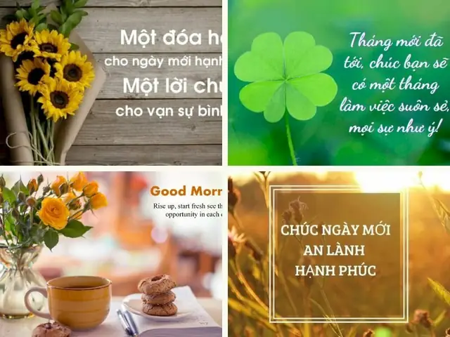 Tổng Hợp Hình Ảnh Chúc Ngày Mới Tháng Mới 2026 Đẹp Nhất, Ý Nghĩa Nhất Để Gửi Tặng Người Thân Yêu