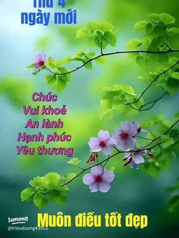 Tổng Hợp Hình Ảnh Chúc Ngày Mới Tháng Mới 2026 Đẹp Nhất, Ý Nghĩa Nhất Để Gửi Tặng Người Thân Yêu