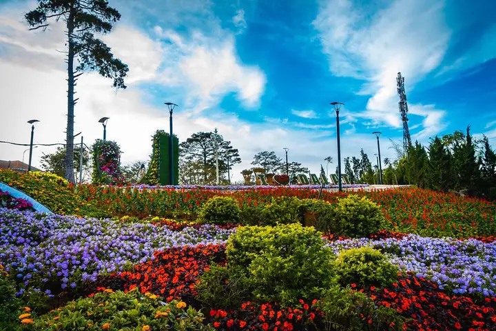 Hình Ảnh Hoa Đà Lạt Đẹp 2026: Kho Ảnh Cực Chất, Góc Chụp "sống Ảo" Nhất Mùa Hoa Năm Nay Hình Ảnh Hoa Đà Lạt Đẹp 2026: Kho Ảnh Cực Chất, Góc Chụp "sống Ảo" Nhất Mùa Hoa Năm Nay