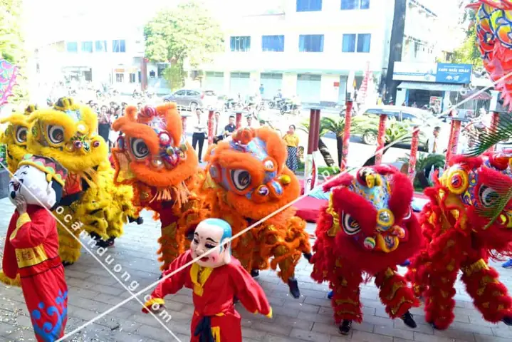 Hình Ảnh Ông Địa Múa Lân: Nghệ Thuật, Ý Nghĩa Và Xu Hướng Tìm Kiếm Mới Nhất Năm 2026