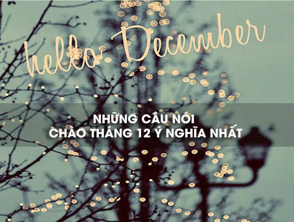 Bộ Sưu Tập Hình Ảnh Tháng 12 Mới Nhất 2026: Chào Đón Giáng Sinh, Năm Mới Và Những Khoảnh Khắc Ấm Áp Nhất Năm Bộ Sưu Tập Hình Ảnh Tháng 12 Mới Nhất 2026: Chào Đón Giáng Sinh, Năm Mới Và Những Khoảnh Khắc Ấm Áp Nhất Năm