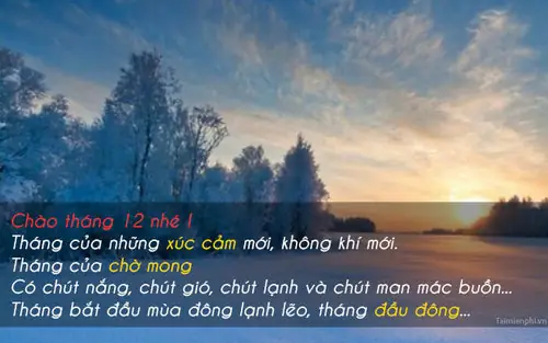 Bộ Sưu Tập Hình Ảnh Tháng 12 Mới Nhất 2026: Chào Đón Giáng Sinh, Năm Mới Và Những Khoảnh Khắc Ấm Áp Nhất Năm Bộ Sưu Tập Hình Ảnh Tháng 12 Mới Nhất 2026: Chào Đón Giáng Sinh, Năm Mới Và Những Khoảnh Khắc Ấm Áp Nhất Năm