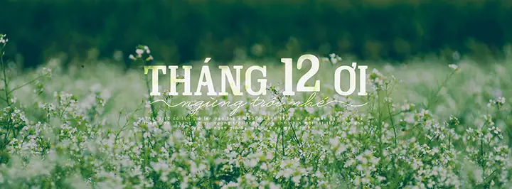 Bộ Sưu Tập Hình Ảnh Tháng 12 Mới Nhất 2026: Chào Đón Giáng Sinh, Năm Mới Và Những Khoảnh Khắc Ấm Áp Nhất Năm Bộ Sưu Tập Hình Ảnh Tháng 12 Mới Nhất 2026: Chào Đón Giáng Sinh, Năm Mới Và Những Khoảnh Khắc Ấm Áp Nhất Năm