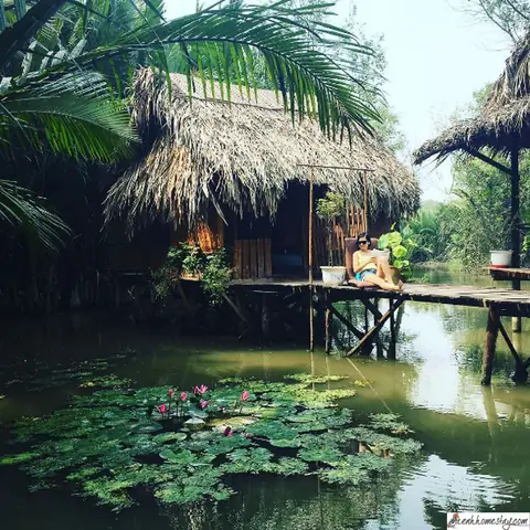 Top 15+ Homestay Nghỉ Dưỡng Gần Sài Gòn Hot Nhất Năm 2026: Review Chi Tiết, Giá Tốt, Check-in "sống Ảo" Chân Thực