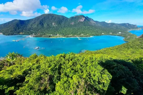 Việt Nam Có Bao Nhiêu Đảo? Cập Nhật Số Liệu Chi Tiết Nhất Năm 2026 Và Những Điều Bạn Chưa Biết