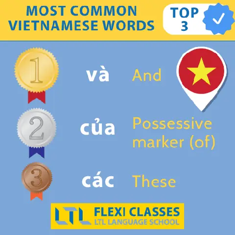 Bao Nhiêu Từ Trong Tiếng Việt? Phân Tích Sâu Về Vốn Từ, Phương Pháp Đếm Và Thực Trạng Năm 2026