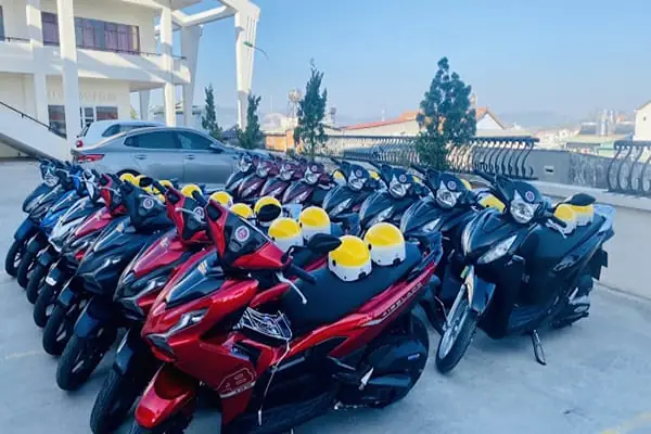 Top Khách Sạn Cho Thuê Xe Máy Ở Đà Lạt 2026: Review Chi Tiết, Giá Cả & Mẹo Chọn Đúng Chuẩn "chân Ái"