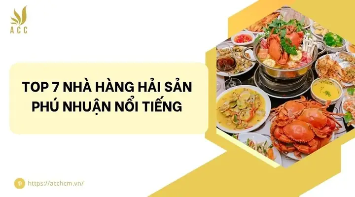 Khách Sạn Hải Phòng Phú Nhuận 2026: Review Chi Tiết Giá Phòng, Tiện Nghi, Địa Chỉ & Trải Nghiệm Thực Tế