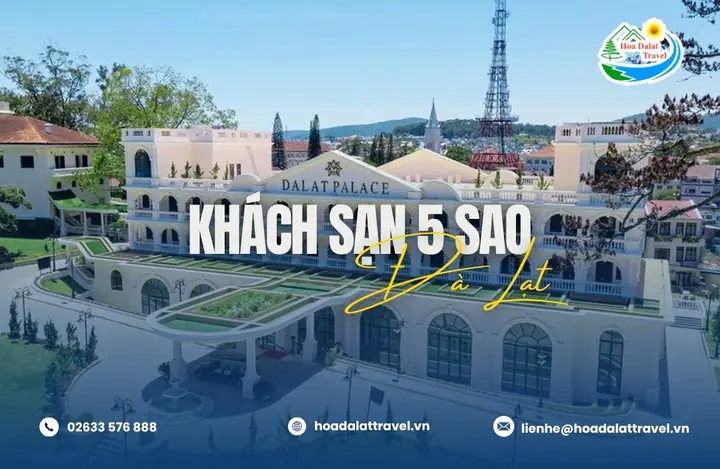 Khách Sạn Phố Hoa Đà Lạt: Review Chi Tiết, Giá Phòng Mới Nhất 2026 & Kinh Nghiệm Chọn Phòng "chuẩn Không Cần Chỉnh"