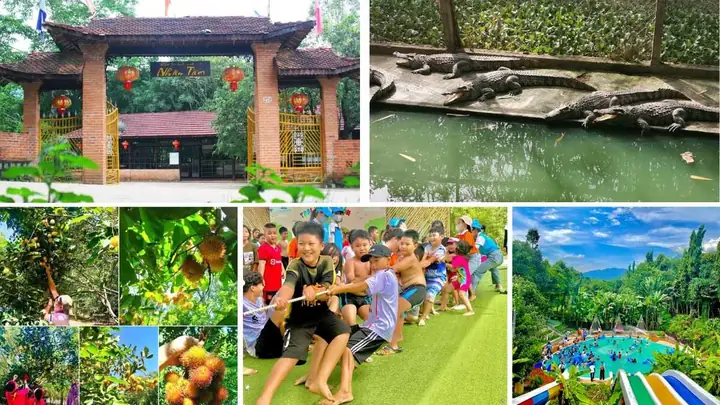 Khu Du Lịch Đắc Nhân Tâm 2026: Hướng Dẫn Trải Nghiệm Toàn Diện "thiên Đường Nghỉ Dưỡng" Gần Trung Tâm Hà Nội