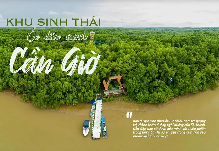 Khám Phá Khu Du Lịch Sinh Thái Cần Đước 2026: Thiên Đường Xanh Mát Giữa Long An – Trải Nghiệm Mới, Giá Cập Nhật & Mẹo Chơi "chuẩn Không Cần Chỉnh"