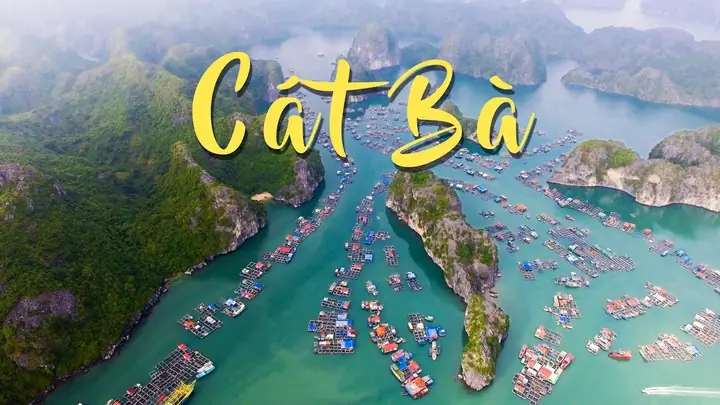 Top Khu Vui Chơi Ở Cát Bà 2026: Review Chi Tiết, Giá Vé Mới Nhất & Kinh Nghiệm Chơi "chuẩn Không Cần Chỉnh" Top Khu Vui Chơi Ở Cát Bà 2026: Review Chi Tiết, Giá Vé Mới Nhất & Kinh Nghiệm Chơi "chuẩn Không Cần Chỉnh"